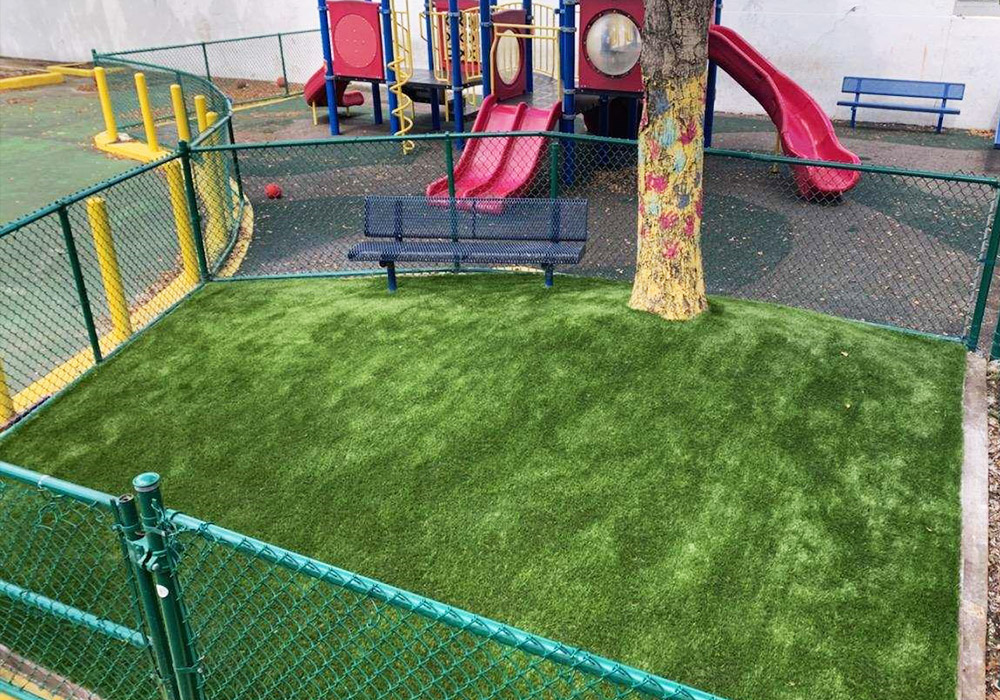 Residential Artificial Grass Turf Dogs Sports Field Playground Putting  Green Pembroke Pines Florida